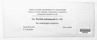 Image Associated With the Occurence